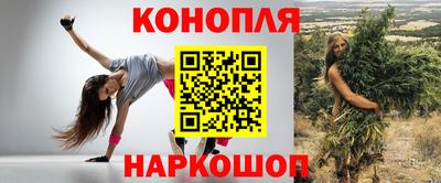 гидропоника Будённовск