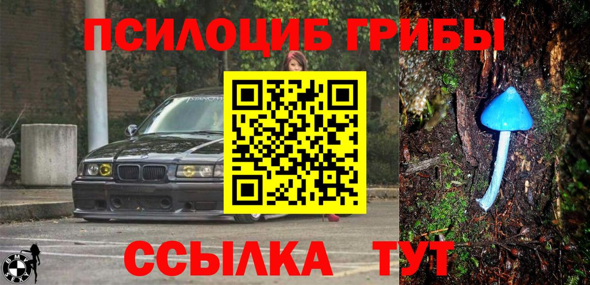 Галлюциногенные грибы Psilocybine cubensis  Вход с VPN  Балашов  Псилоцибиновые грибы Psilocybe 